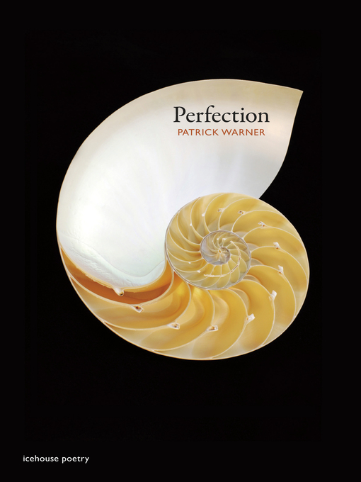 Title details for Perfection by Patrick Warner - Available